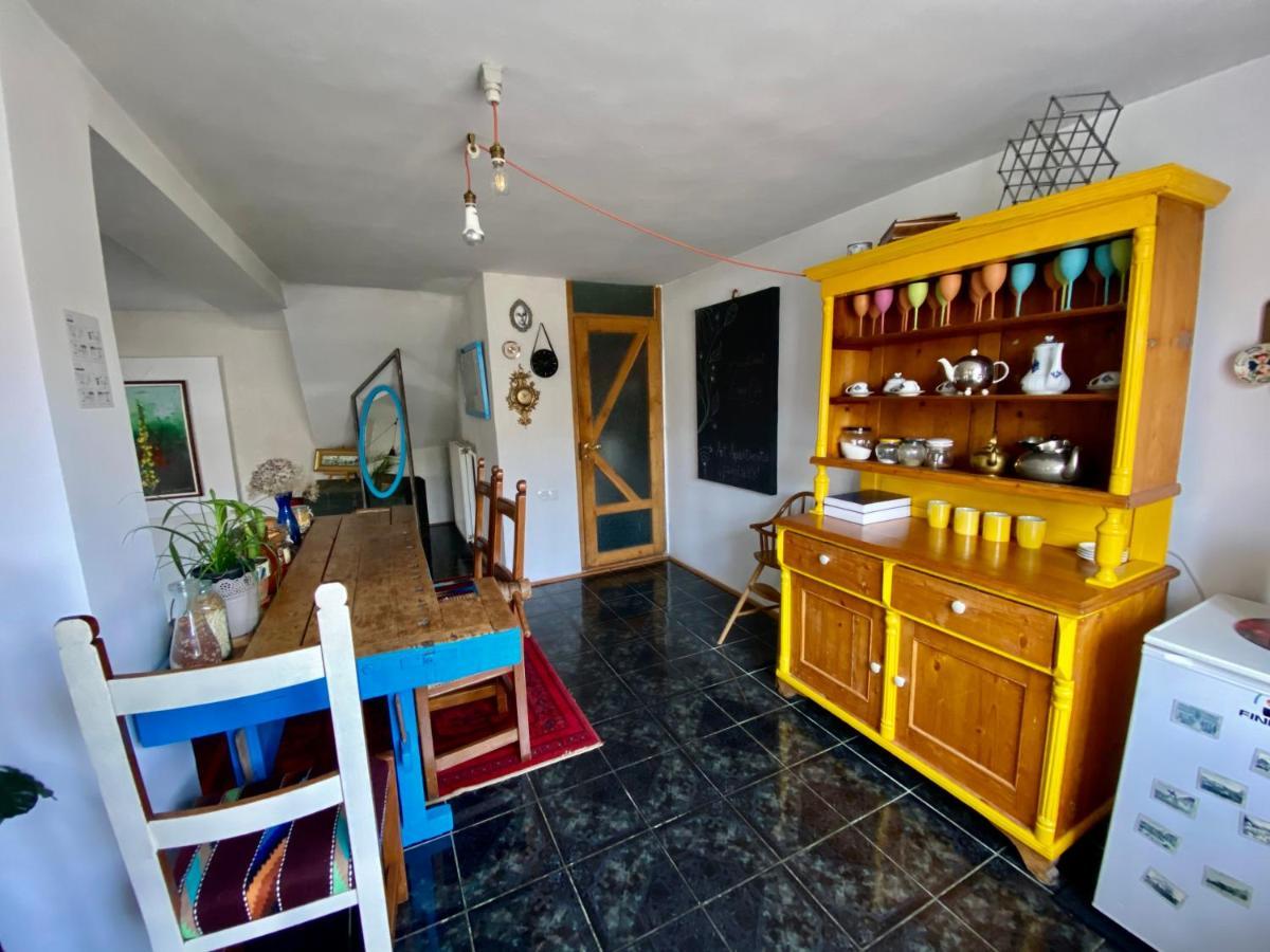 Apartament Art Cluj Dış mekan fotoğraf