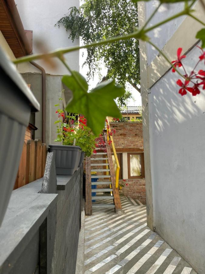 Apartament Art Cluj Dış mekan fotoğraf